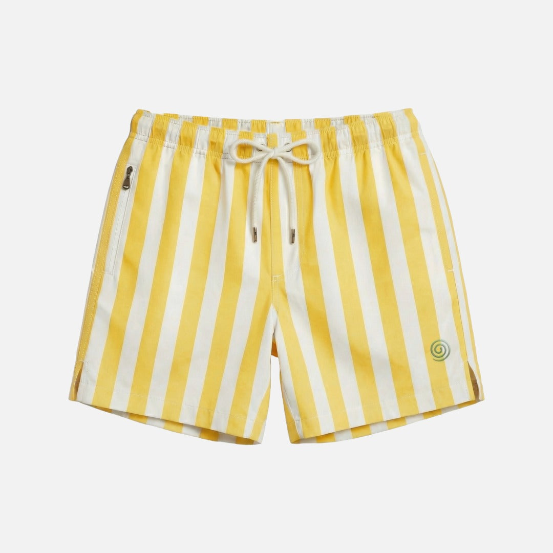 Mens Stripy Swimming Trunks