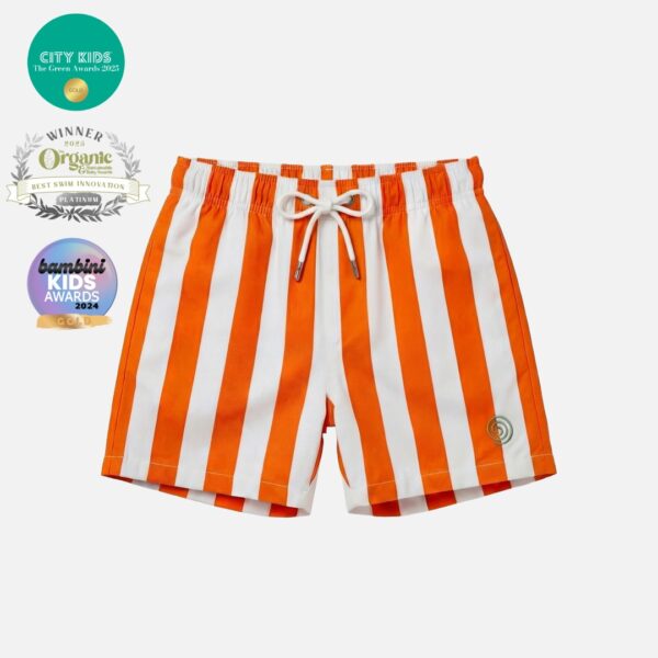 Boys Stripy Swim Trunks
